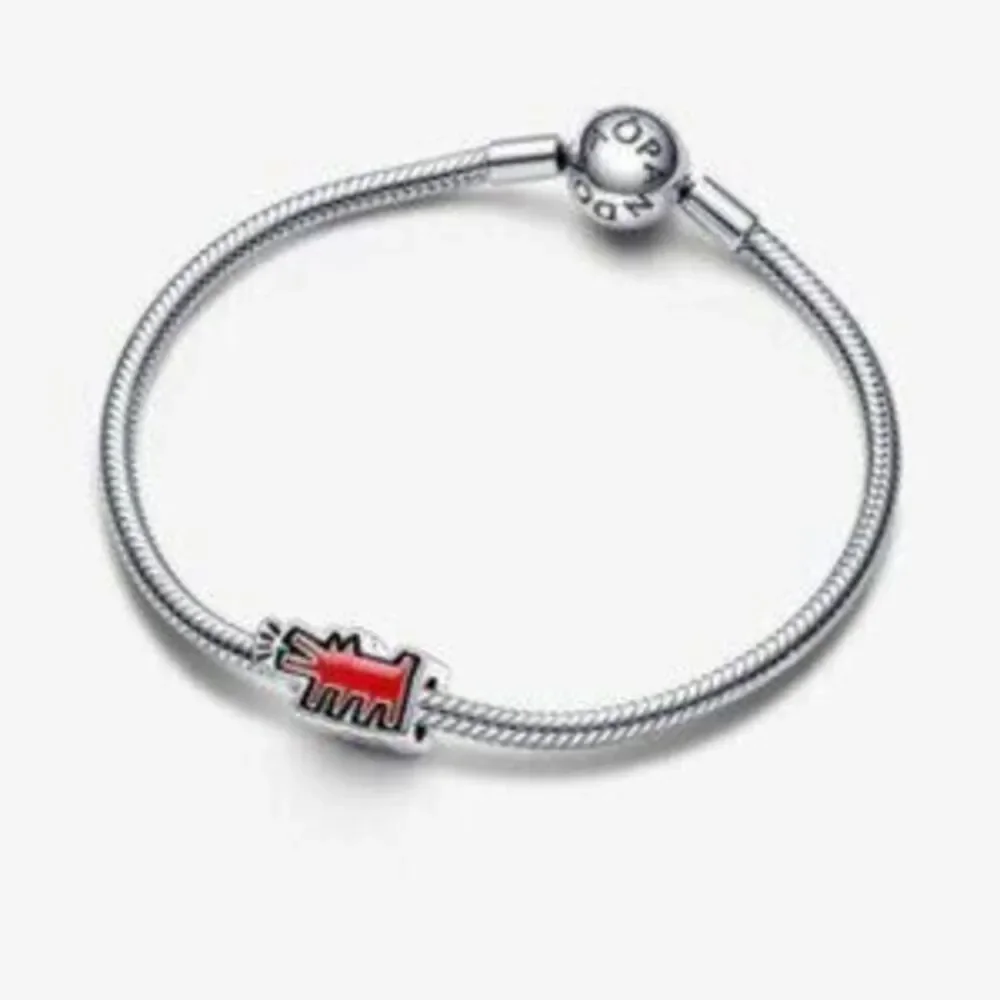 Pandora charm bead